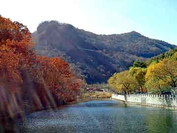 管家婆黑白马报图库，宝丰seo排名